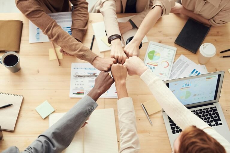 business model growth optimization