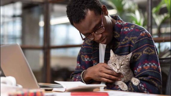 Is SEO Still Worth It? A Guide for St. Pete Businesses